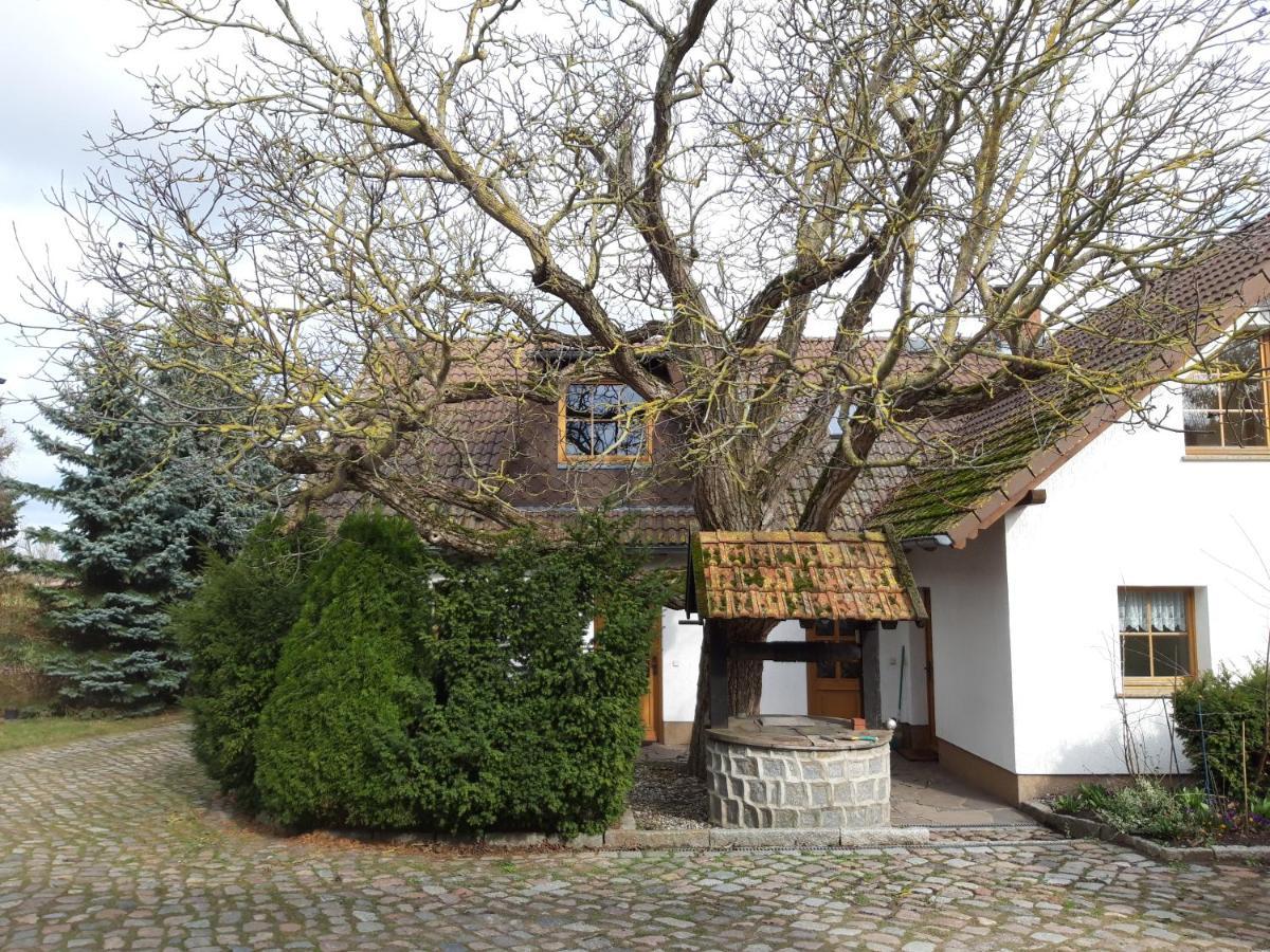 Ein Bett Im Kornfeld - Haus Morgensonne - Mit Innenpool Schonfeld  Buitenkant foto