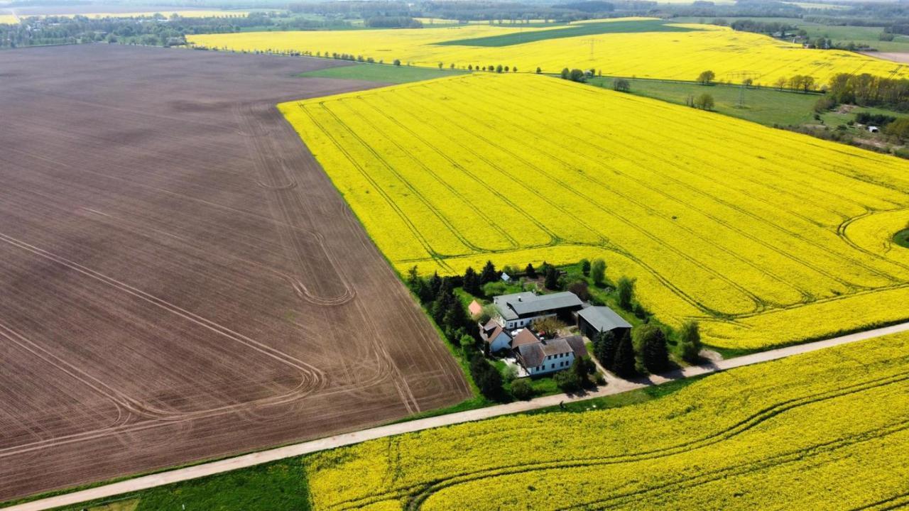 Ein Bett Im Kornfeld - Haus Morgensonne - Mit Innenpool Schonfeld  Buitenkant foto